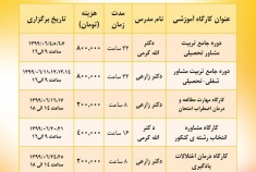 دوره های مجازی آنلاین در حیطه شغلی و تحصیلی در شهريور ماه ۱۳۹۹